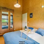 Zeeanemoon - For 6 Persons *